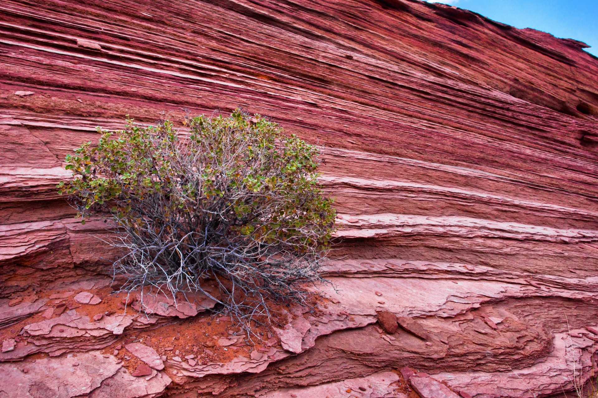Осадочные горные породы — определение, виды, как образуются и что к ним относиться