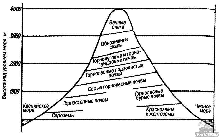 виды почв высотной поясности, схема