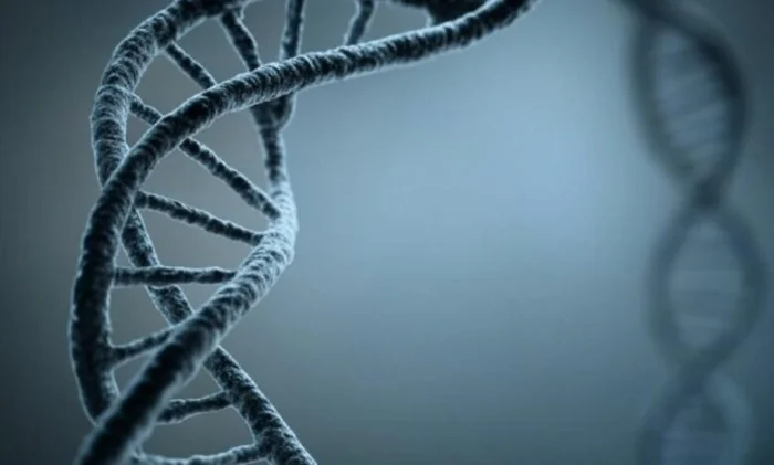 До ДНК были другие коды: учёные нашли следы вымершей жизни