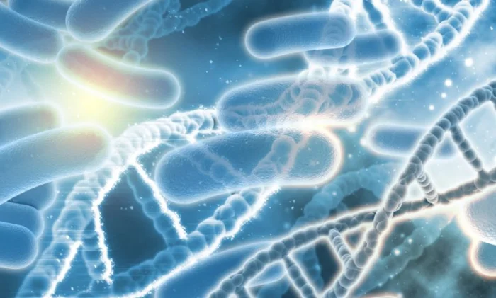 Невидимые бактериальные структуры скрывают сигналы до тех пор, пока не будут активированы соответствующим биохимическим веществом