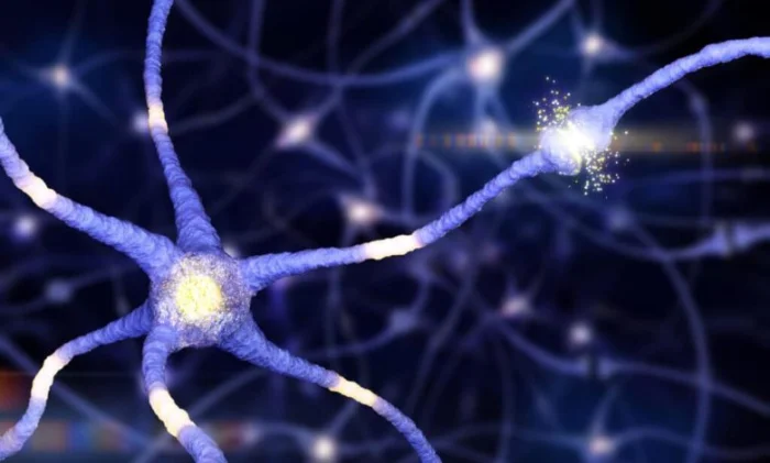 Ученые выяснили, что мозг переписывает воспоминания при каждом их воспроизведении