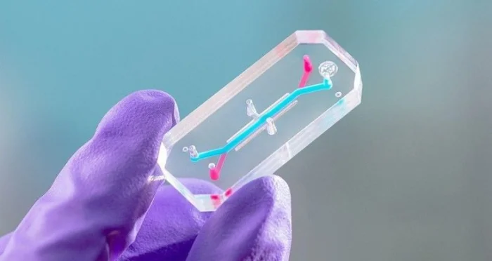 Вместо людей к звездам: манекены изучат космические риски для организма