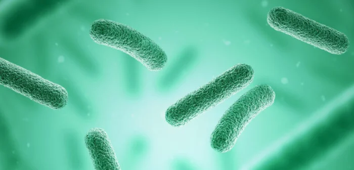 Новое исследование: бактерии способны разлагать стойкие химические загрязнители PFAS