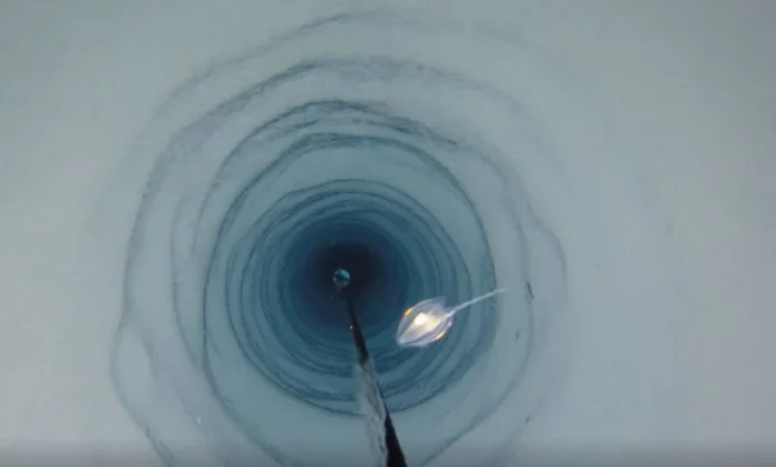 Странное существо, случайно обнаруженное под шельфовым ледником Антарктики