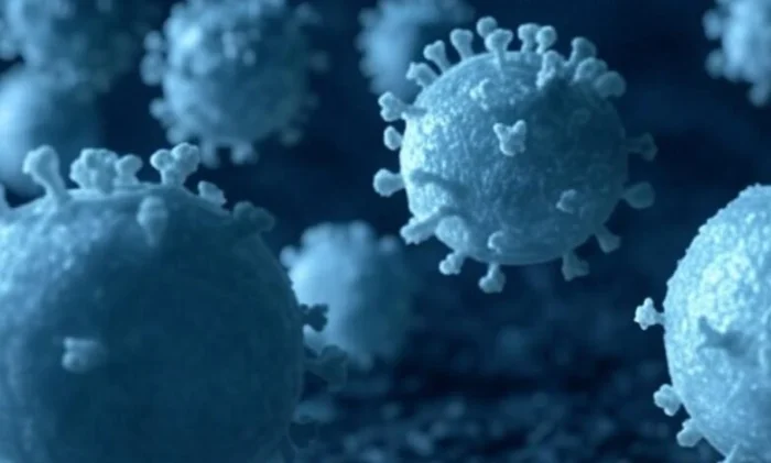 Ученые обнаружили гигантский вирус, способный пролить свет на происхождение сложной жизни