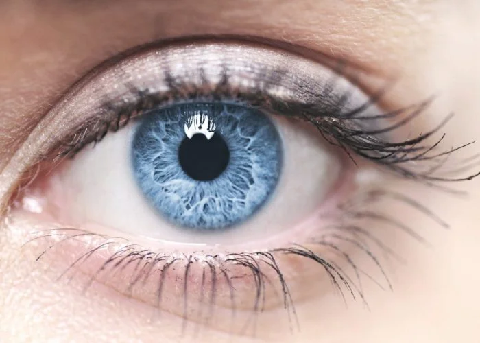 Голубые глаза: генетическая особенность или мутация?
