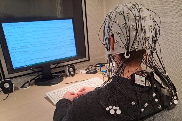 Скрытый ритм мозга оказался связан с интеллектом
