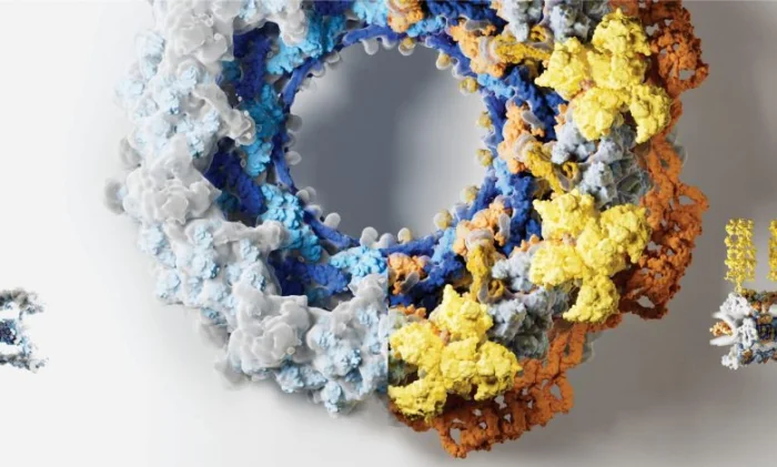 Как ИИ помог разгадать тайну белков, защищающих ДНК