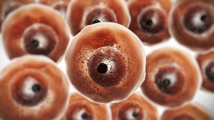 Генная инженерия иммунитета: новый щит от смертельных вирусов