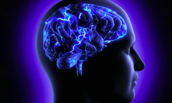 Вирус COVID-19 нашел путь в нейроны мозга