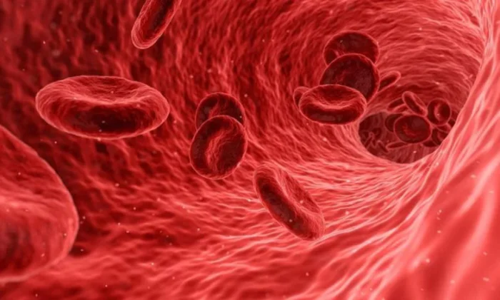 Первый в истории полностью функциональный искусственный эритроцит!