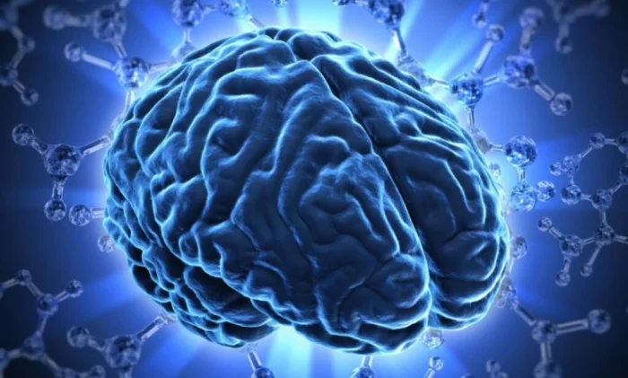 Новый гидрогель не дает раку мозга вернуться после операции