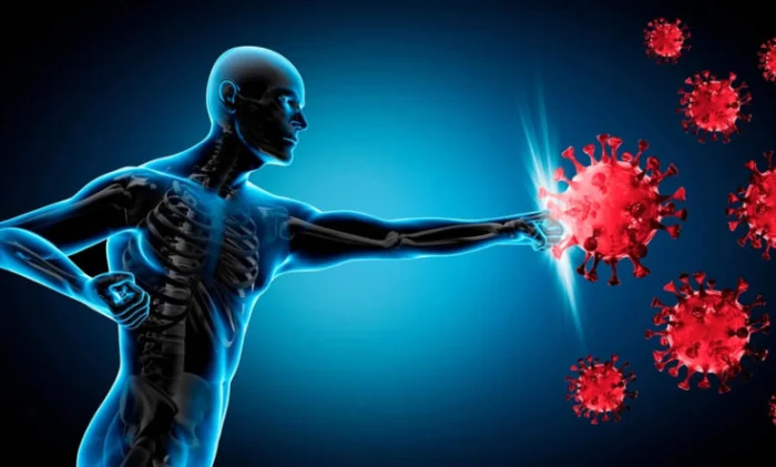 Как иммунитет побеждает вирусы: простые стратегии защиты