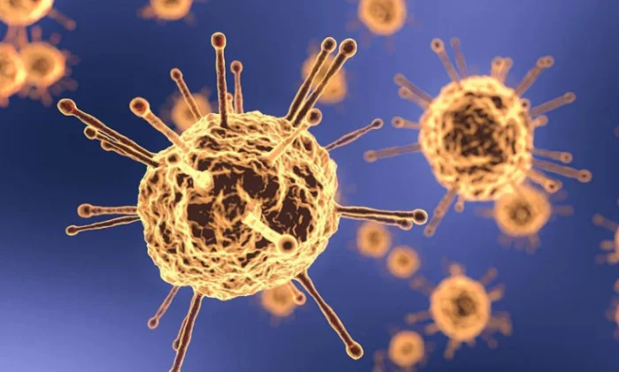 Иммунитет к COVID-19 у переболевших: насколько он долгий