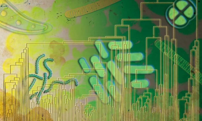 Жизнь научилась дышать кислородом за сотни миллионов лет до его появления в атмосфере