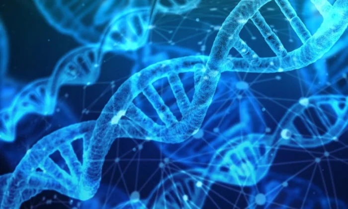 Искусственный интеллект создал уникальную ДНК человека