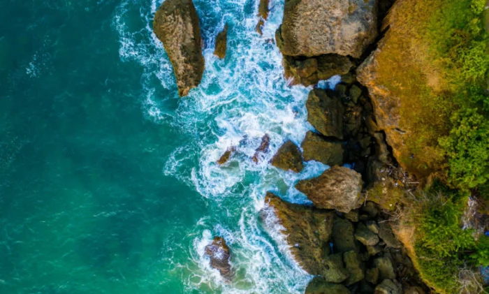 Океан уже пять лет пересекает опасную черту кислотности