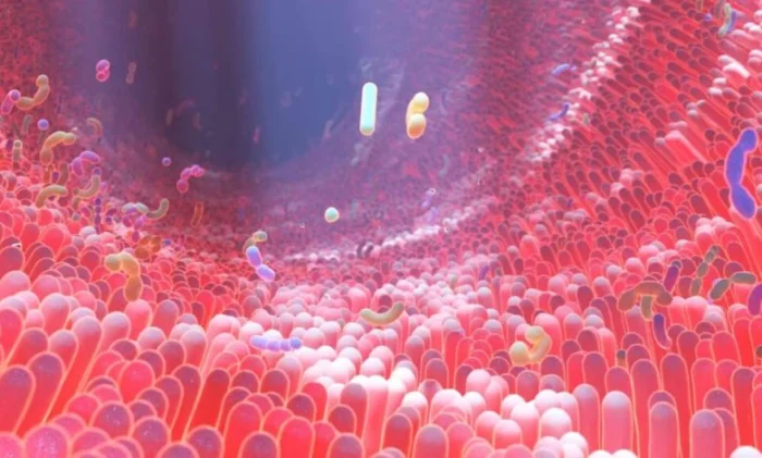 Связь микробиоты и социофобии: новое открытие ученых