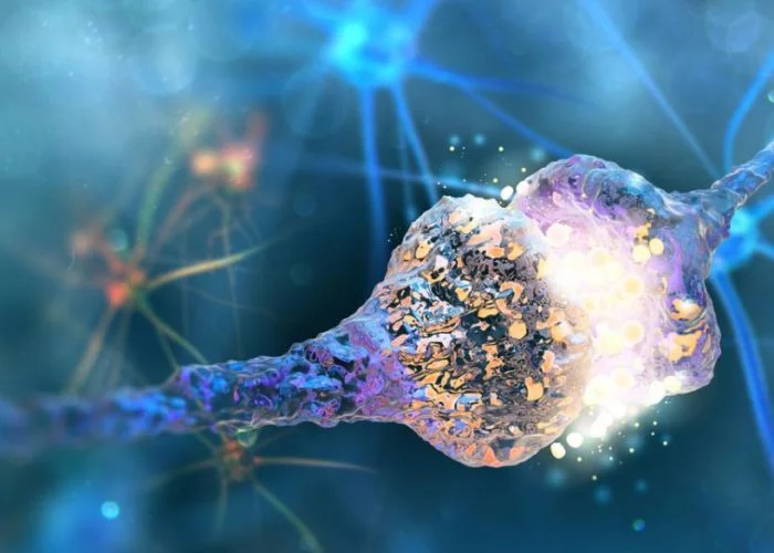 Ученые выяснили, как сон обострил нашу память