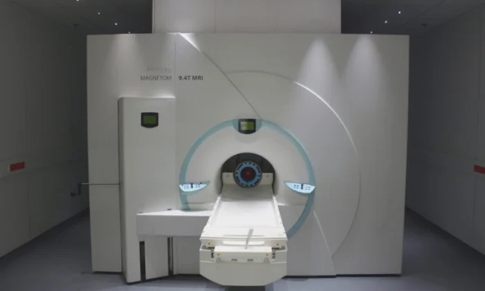 Мозг сняли с рекордным разрешением: 100 часов и 8 терабайт данных