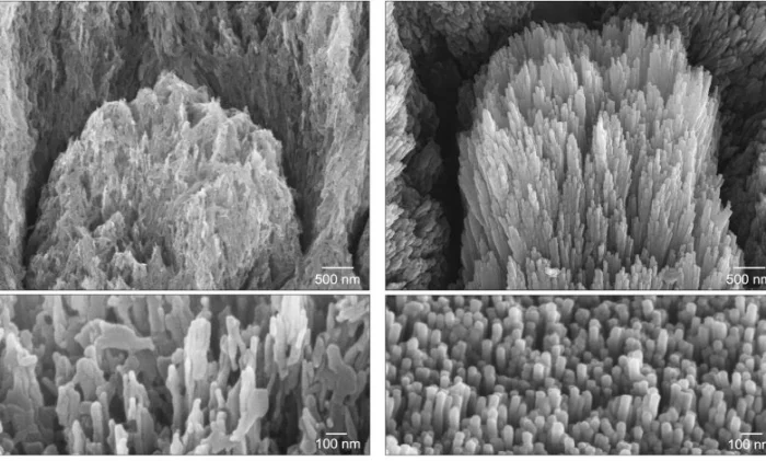 Ученые создали гель без фтора, восстанавливающий зубную эмаль за две недели
