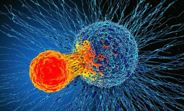 Рак: беспрецедентный генетический прорыв!