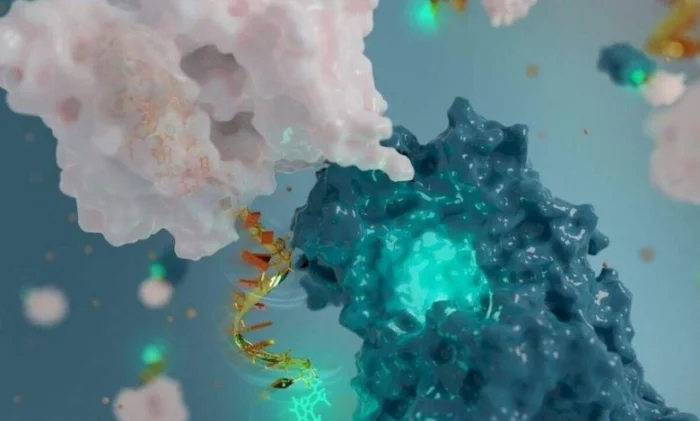 Представлена самая маленькая в мире антенна из ДНК