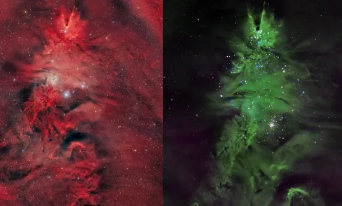 Звёздное скопление «Новогодняя ёлка»: колыбель новых светил