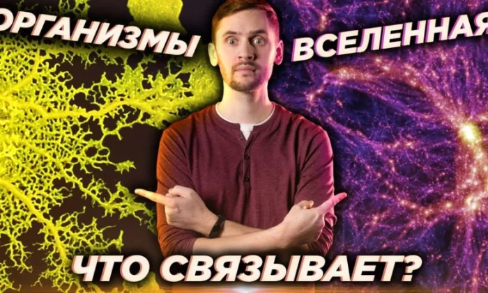 Раскрыта тайна недавнего потемнения Бетельгейзе