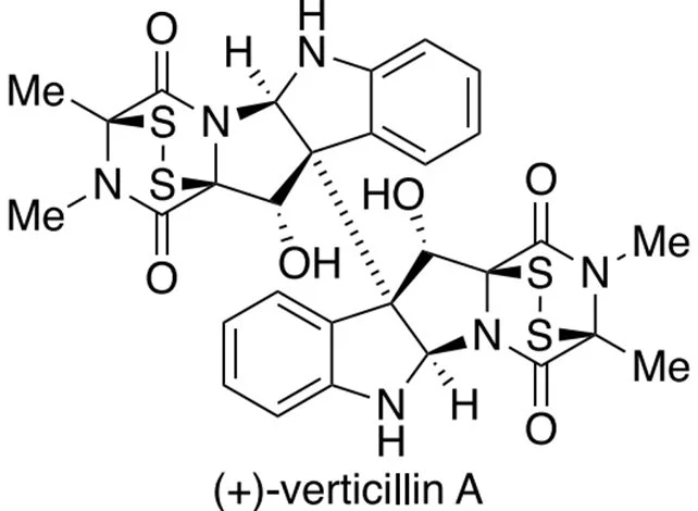 Учёные впервые синтезировали перспективное противораковое соединение спустя 55 лет после его открытия