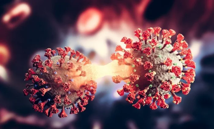 Гибрид дельта-омикрона: ВОЗ подтвердила новый вариант