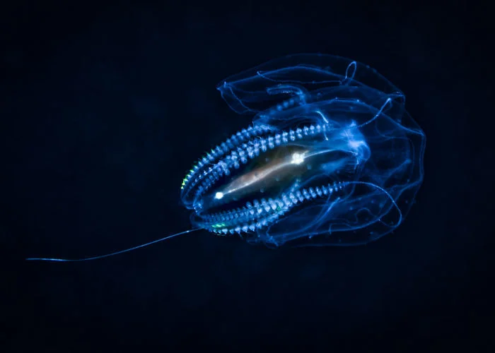 Ученые нашли миры, которые могут быть пригоднее Земли для жизни