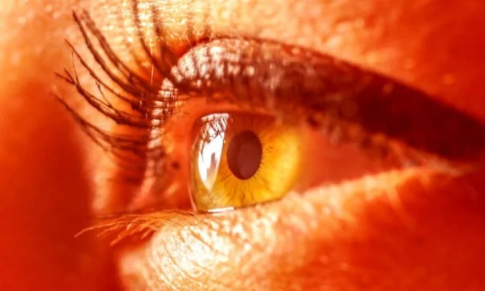 Новая терапия красным светом может частично восстановить остроту зрения, утраченную с возрастом