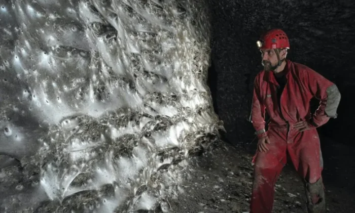 Гигантская паутина с тысячами пауков найдена в пещере Албании и Греции