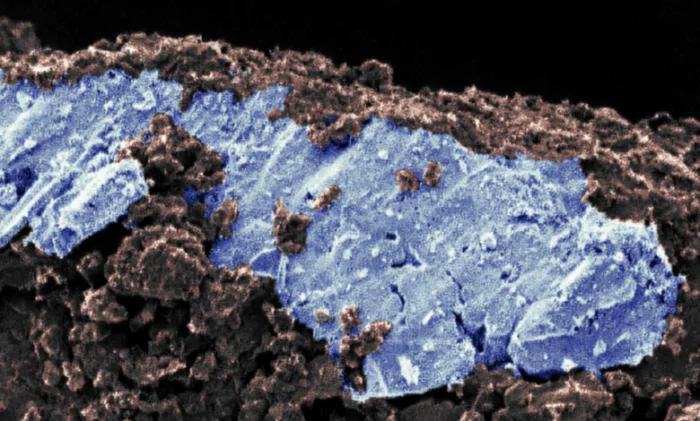 Пробы с Рюгу меняют теорию о появлении воды на Земле