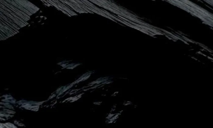 Ученые обнаружили неизвестную форму жизни глубоко под Землей