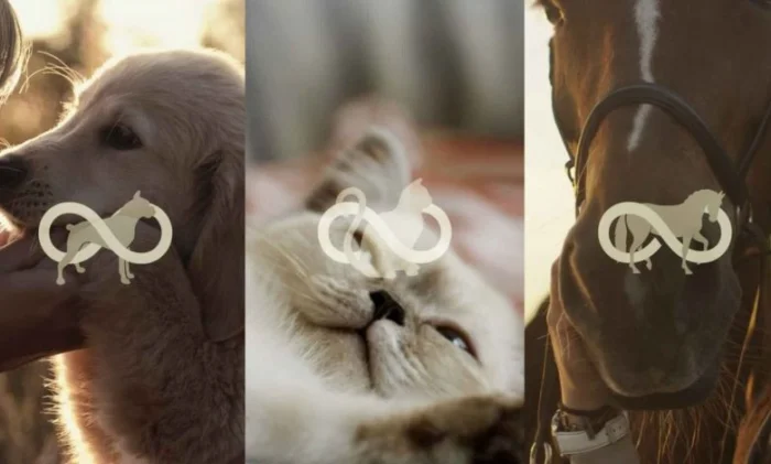 Сделка года: создатели мамонтов купили лидера по клонированию