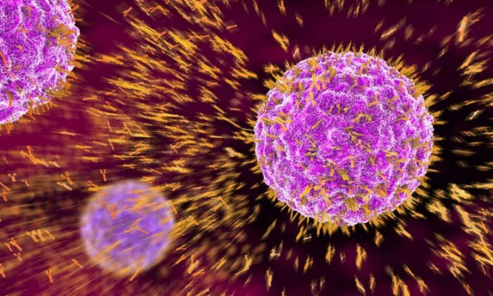 Учёные нашли антитело против всех вариантов COVID-19