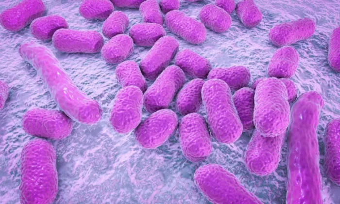 Новое открытие антибиотика дает надежду на борьбу с бактериями с высокой лекарственной устойчивостью