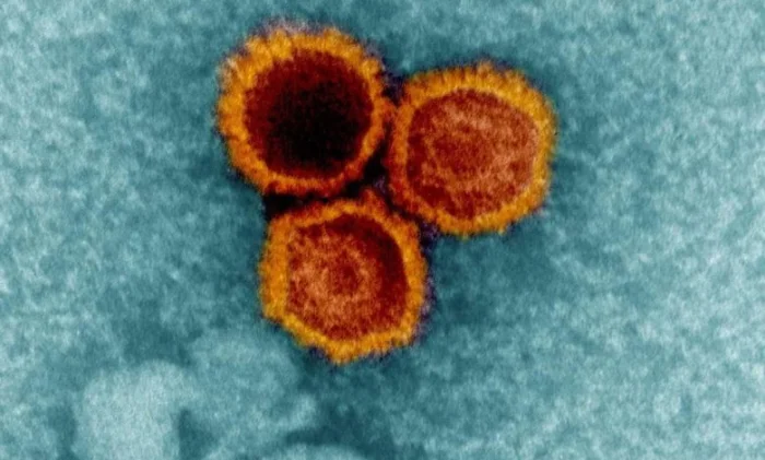 Ученые нашли новые доказательства связи распространенного вируса с развитием рассеянного склероза