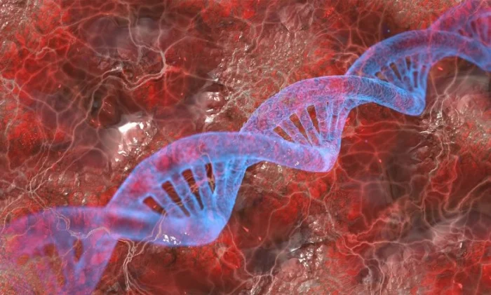 Уникальные иммунные отпечатки укажут путь к лечению аутоиммунных болезней