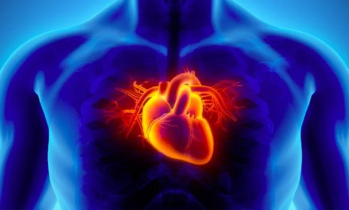 Первая в мире пересадка выращенных клеток сердца выполнена в Японии