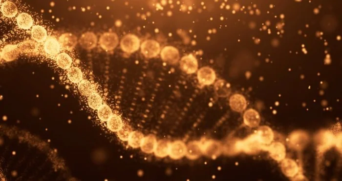 Радикально новый метод может напрямую редактировать клетки человека, чтобы избавиться от генетической болезни