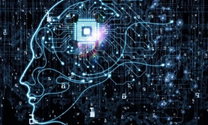 Найден квантовый процесс, лежащий в основе работы мозга