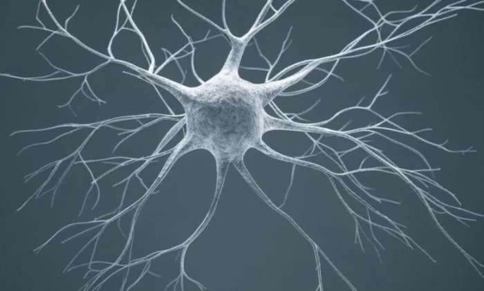 Ген тревоги найден: редактирование GRIK4 вернуло мышам спокойствие