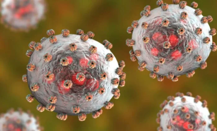 Смертельный вирус Чапаре, обнаруженный в Боливии, также может передаваться от человека к человеку