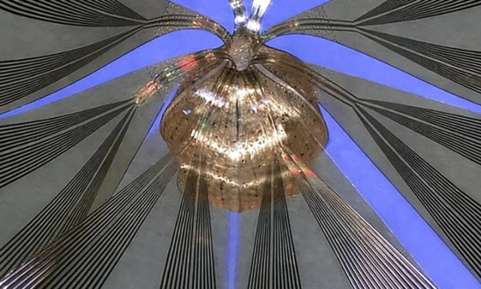 Ученые создали мягкое электронное устройство для записи активности 91 процента поверхности лабораторных мини-мозгов