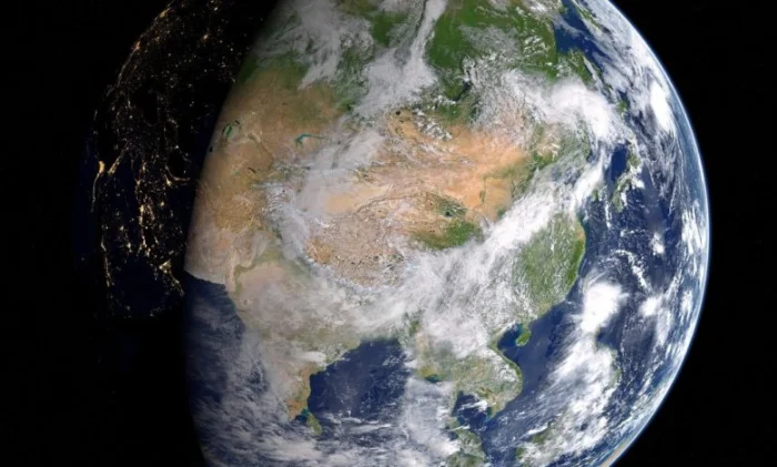 Как годичные кольца деревьев раскрыли историю рек за 800 лет