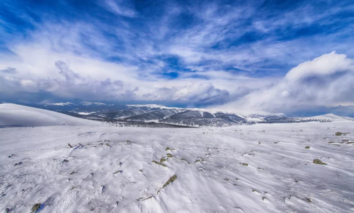 Грозит ли миру эпидемия из растаявших ледников Антарктиды