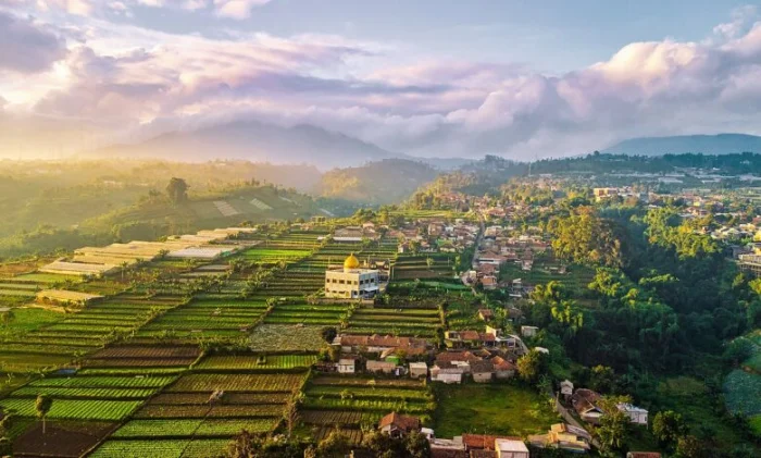 В Индонезии испытали технологии Томского госуниверситета для очистки водоемов